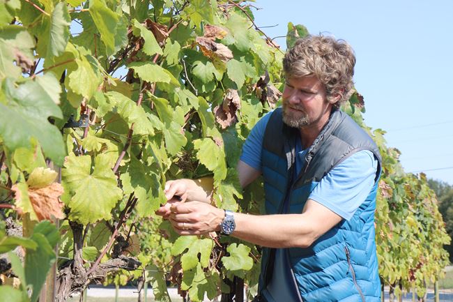 Winemaker, Weston Eidson